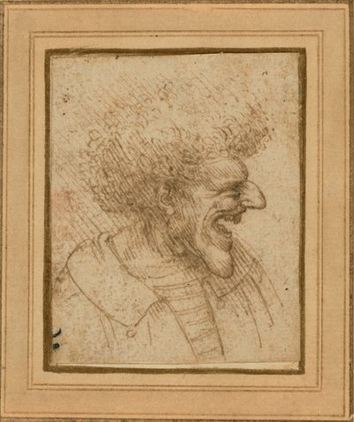 Karikatuur van een man met bossig haar, ca. 1495 door Leonardo da Vinci